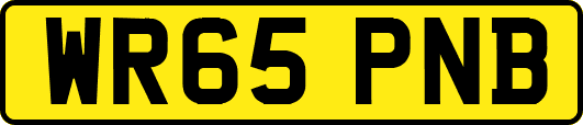 WR65PNB