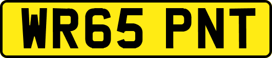 WR65PNT