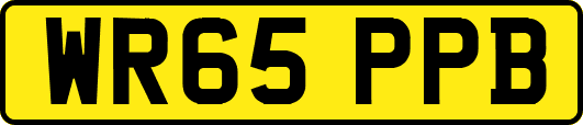 WR65PPB