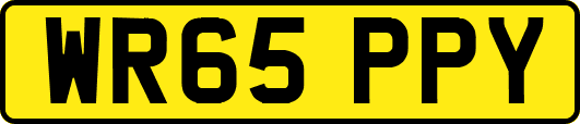 WR65PPY