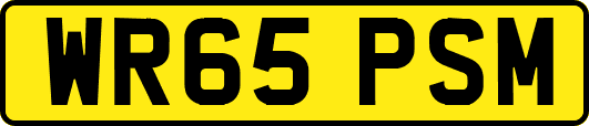 WR65PSM