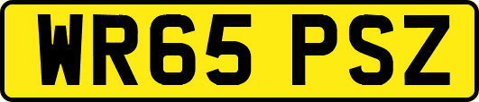 WR65PSZ