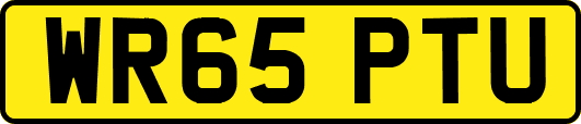 WR65PTU