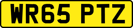 WR65PTZ