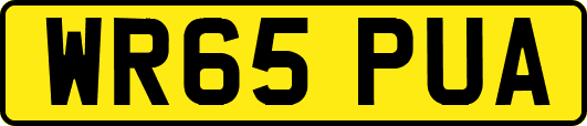WR65PUA