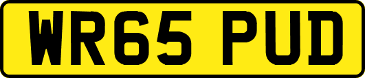 WR65PUD