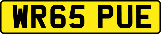 WR65PUE