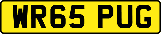 WR65PUG