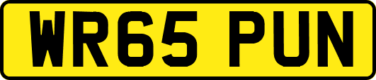 WR65PUN