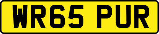 WR65PUR