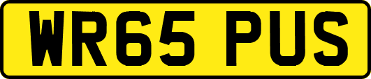 WR65PUS