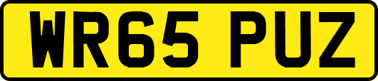 WR65PUZ