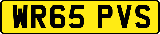 WR65PVS