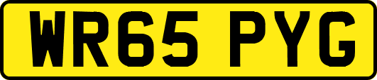 WR65PYG