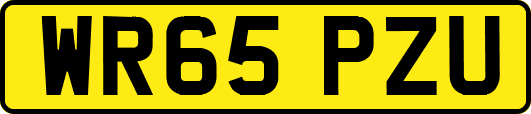 WR65PZU