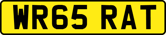 WR65RAT