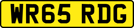 WR65RDG