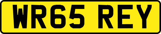 WR65REY