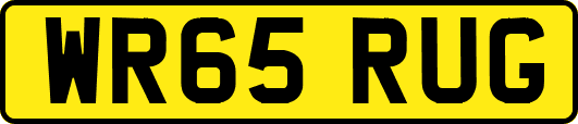 WR65RUG