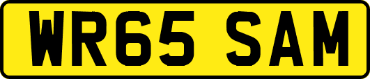 WR65SAM
