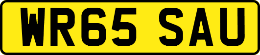 WR65SAU