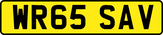 WR65SAV