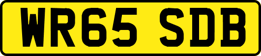 WR65SDB