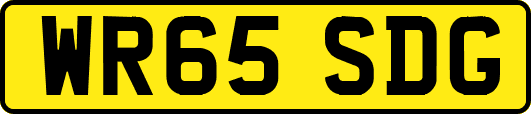 WR65SDG