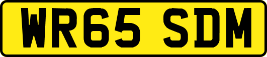 WR65SDM