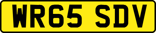 WR65SDV