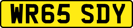 WR65SDY