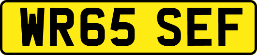 WR65SEF