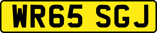 WR65SGJ