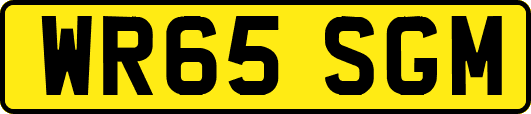 WR65SGM