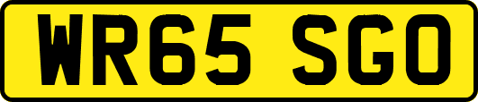 WR65SGO