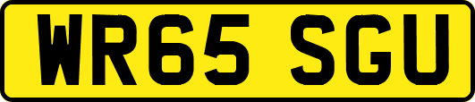 WR65SGU