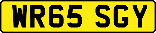 WR65SGY