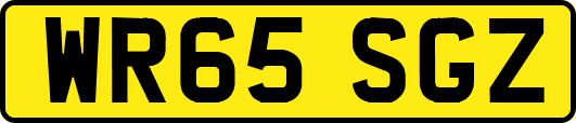 WR65SGZ