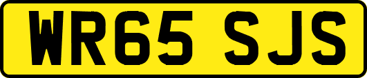 WR65SJS