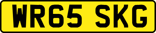 WR65SKG