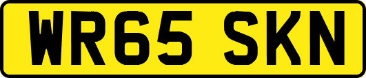 WR65SKN