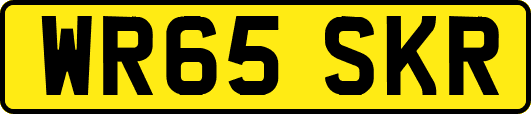 WR65SKR