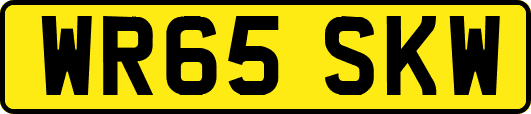 WR65SKW