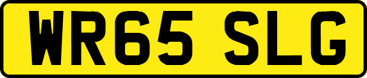 WR65SLG