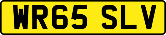 WR65SLV