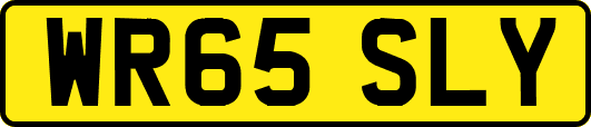 WR65SLY