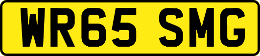 WR65SMG