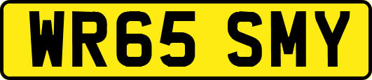 WR65SMY