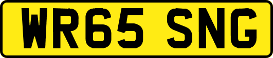WR65SNG