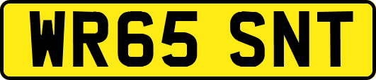 WR65SNT